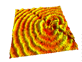 AFM map of the centre of a spherulitic 
			polycrystalline domain