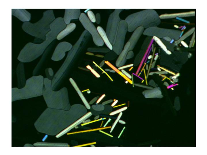 Polarizing microscope image of wax crystals