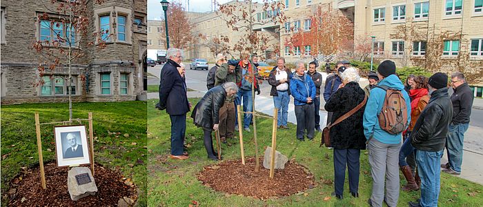 moorcorft-memorial-tree-banner-700x300.jpg