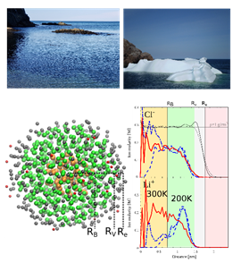 SConstas-Physics-4999-Brine.png